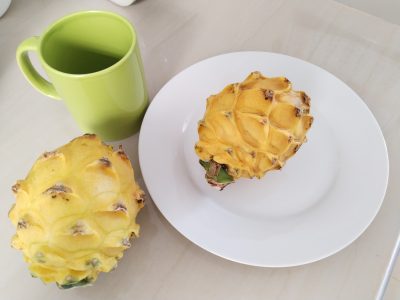 pitahaya taza 2500px